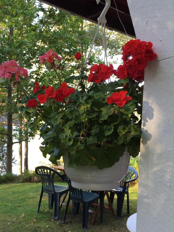Borgdala Stugor Ödkarby الغرفة الصورة